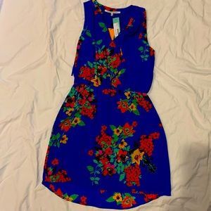 Size Large Collective Concepts spring dress from Stichfix